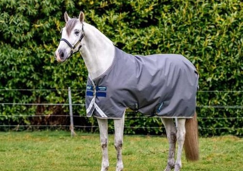Horseware amigo bravo - bravo, 12