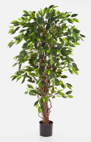 Artplants deko ficus - artplants,