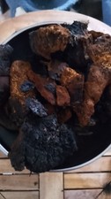 Chaga - Teetinktur Räuchern
