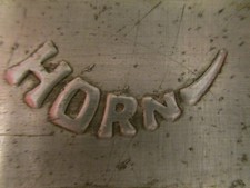 Fahradkettenschutz Horn