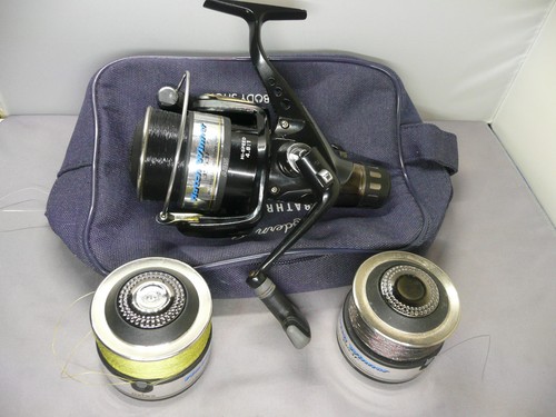 Daiwa match winner - daiwa,