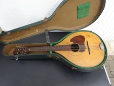 Mandola Herwiga Solist 1111 ca. 77,5 cm