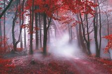 Wandbild Roter Wald Bild auf