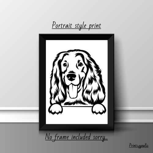 American cocker spaniel hund - cocker,