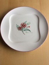 VILLEROY & BOCH Vivo Design 0702 Teller Kuchenteller 