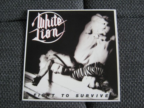 White lion fight to - white,