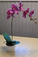 Orchidee künstlich pink - , ***