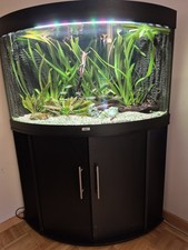 Juwel Trigon 190 –