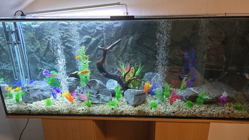Aquarium 450l mit zubehör - 450l,