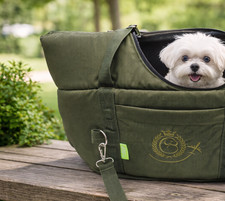 Hundetasche flugzeug air lunch - air,