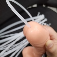 Silikon Prinzenzepter