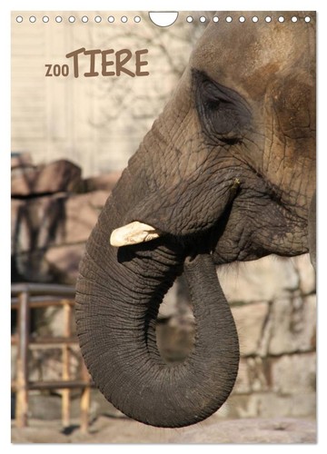 Zootiere wandkalender 2027 - zootiere, (wandkalender