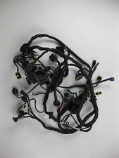 Ducati Panigale 1199 Kabelbaum Hauptkabelbaum  51017881A/8