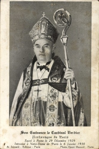 Kardinal verdier - kardinal,