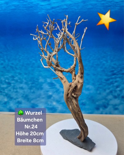 Aquarium wurzel bonsai - 🌳aquarium,