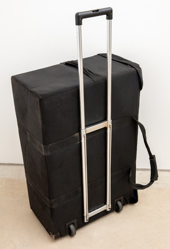 Tenba air case - air,