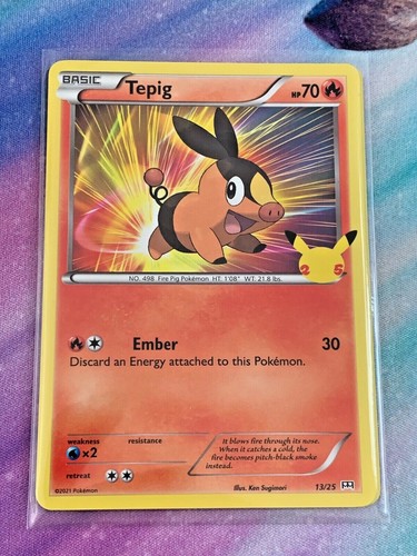 Non holo tepig floink 13 - non,