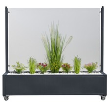 XXXL Mobiler Windschutz anthrazit 200cm Rollen Klarglas vormontiert Pflanzkasten