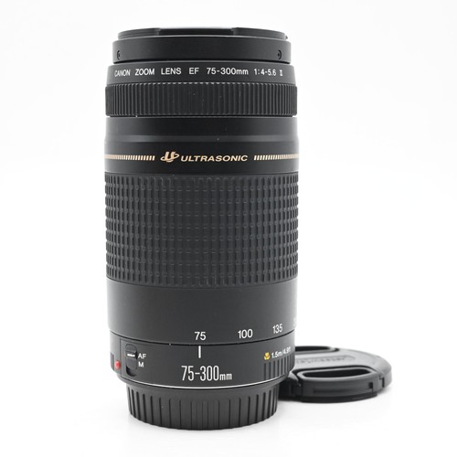 Canon 300mm 5 - canon, 75-300mm