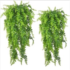 Terrarium Deko Set mit