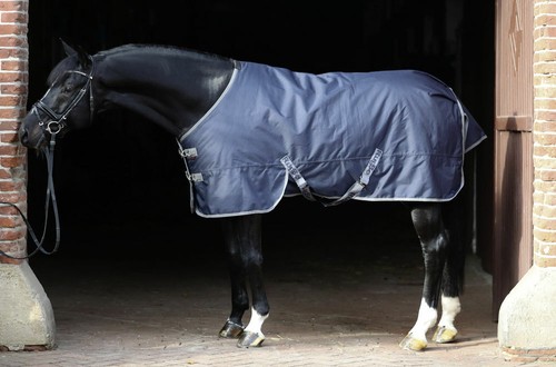 Pferdedecke rugbe iceprotect - pferdedecke,