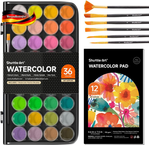 Shuttle art wasserfarben 43 - shuttle, wasserfarben,