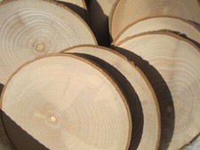 10 x Holzscheiben Astscheiben