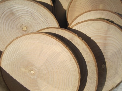 Holzscheiben astscheiben - x,