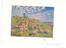 1904 Hans Richard von Volkmann