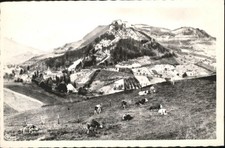 Salins-les-Bains Paturages
