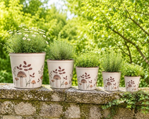 Clayre eef krakelee - clayre,