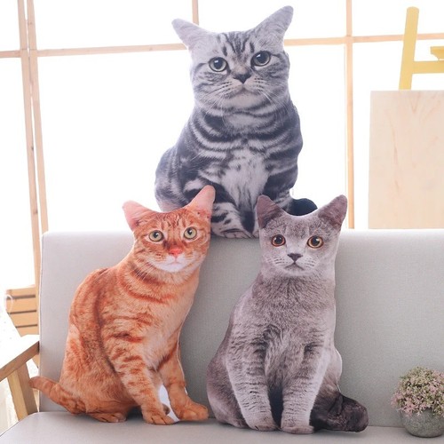 Katzen plüschkissen - katzen,