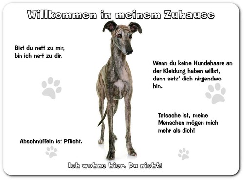 Warnschild 20x30cm - warnschild,