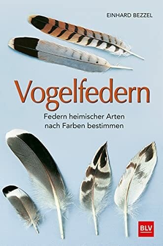 Vogelfedern federn heimischer - vogelfedern:,