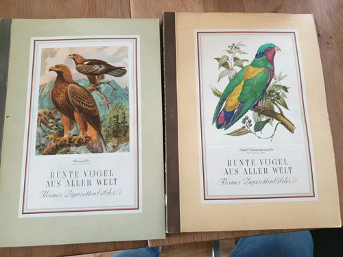 Kosmos bunte vögel aus - kosmos,
