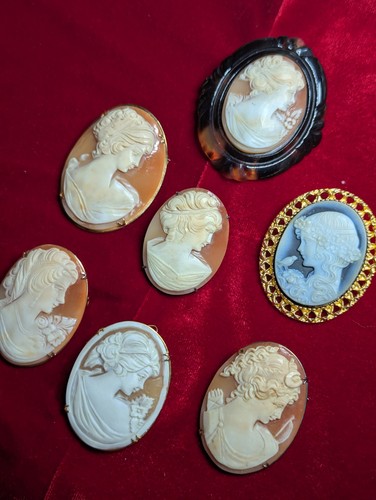 Konvolut cameo schmuck - 7×cameo,