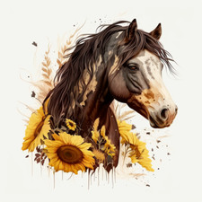 Autoaufkleber Sticker Pferde