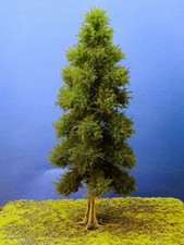 Diorama Modell Nadelbäume, 1