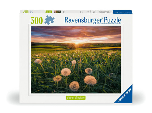 Erwachsenenpuzzle 500 teile - erwachsenenpuzzle,
