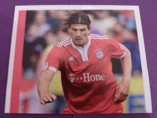 Panini bayern münchen - panini, fc
