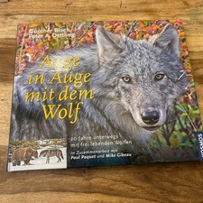 Auge in Auge mit dem Wolf