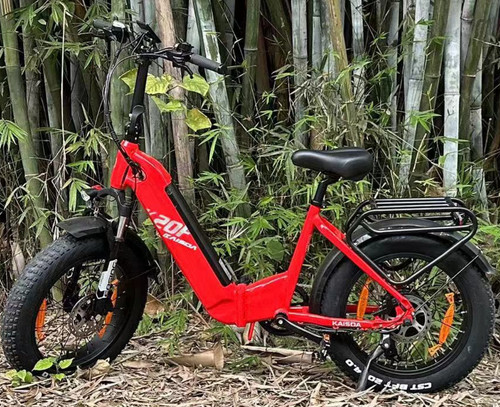 Zoll elektrofahrrad - 20,