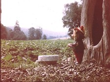 Stereomat 3D DDR  Defa Dia