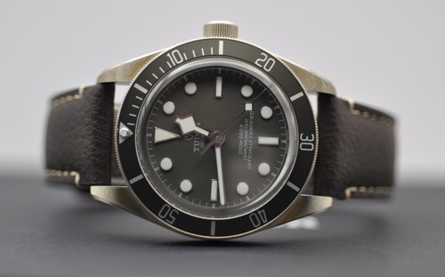 Tudor black bay 925 79010sg - bay,