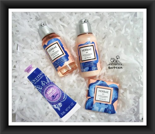 Occitane herbae iris - l'occitane, palida