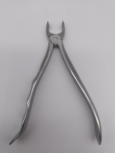 Orbis-Dental