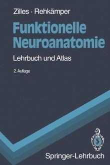 Funktionelle neuroanatomie - funktionelle,