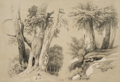 Jacottet alte - j.,