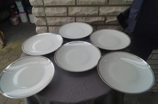 6  sehr gepflegte Rosenthal