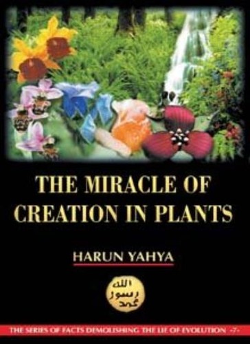 The miracle creation - the,